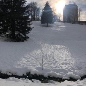 App 510 Panoramic Hohegeiß mit Fernblick Braunlage